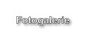 Fotogalerie