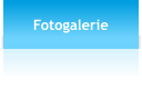 Fotogalerie